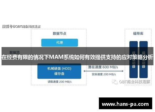 在经费有限的情况下MAM系统如何有效提供支持的应对策略分析
