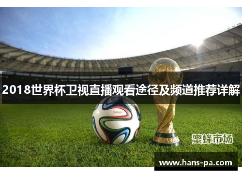 2018世界杯卫视直播观看途径及频道推荐详解