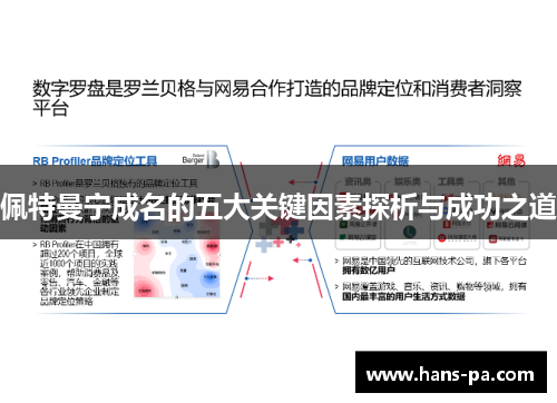 佩特曼宁成名的五大关键因素探析与成功之道 佩特曼宁成名的五大关键因素探析与成功之道