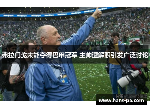 弗拉门戈未能夺得巴甲冠军 主帅遭解职引发广泛讨论 弗拉门戈未能夺得巴甲冠军 主帅遭解职引发广泛讨论